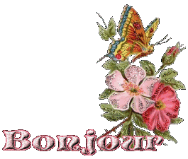Gif bonjour papillon